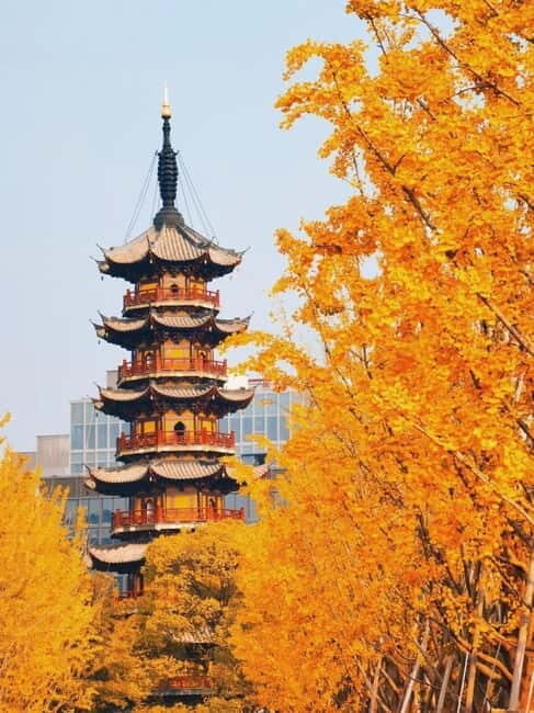 Shanghai: Longhua Temple Buddhist tour with local expert - Good To Know