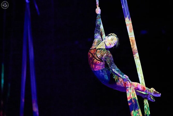 Shanghai Must-See Acrobatics Show With Private Transfer - Tour Overview and Itinerary