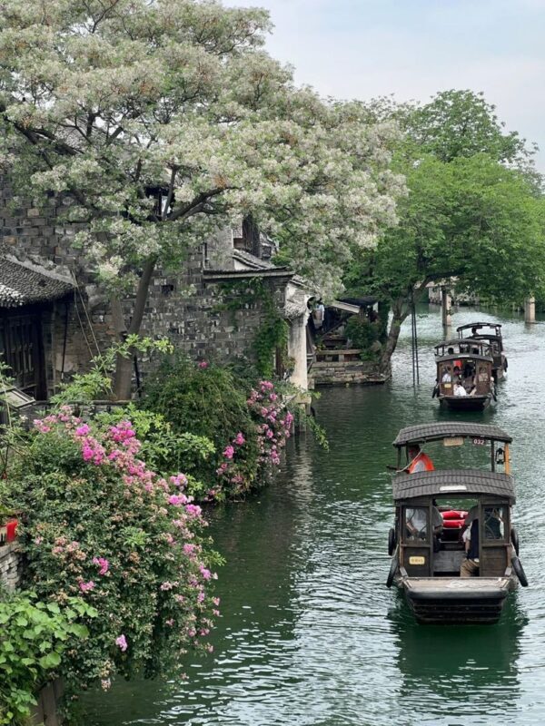 Shanghai + Nanjing + Wuxi + Suzhou + Hangzhou + Wuzhen 6-Day High-End Tour (Songcheng Eternal Love Show + Full 5-Star Luxury Hotel) - Day 3: Nianhua Bay, Suzhou’s garden, and Wuzhen