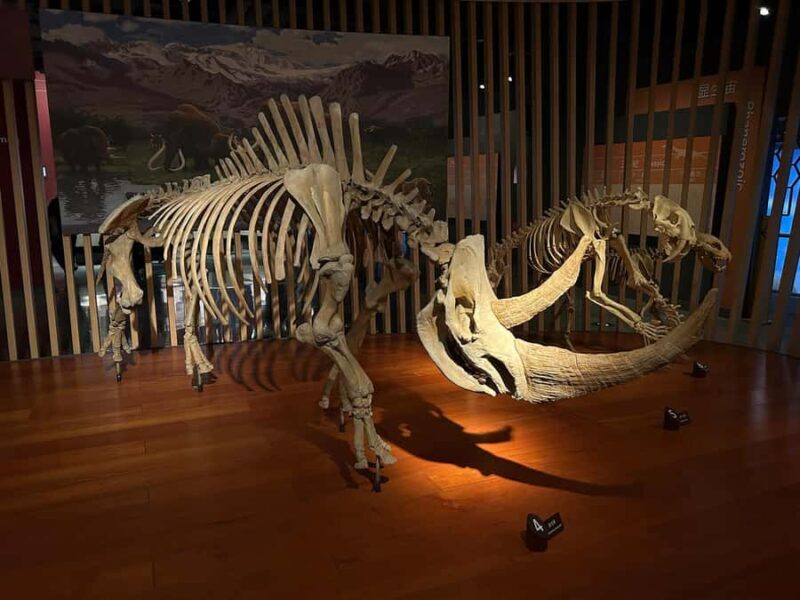 Shanghai Natural History Museum Admission Ticket - FAQ