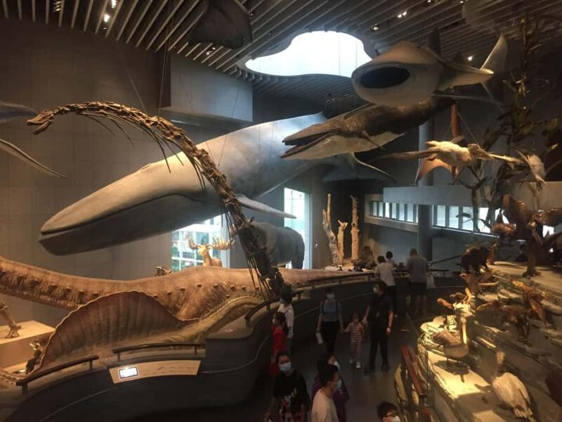 Shanghai Natural History Museum Admission Ticket - FAQs
