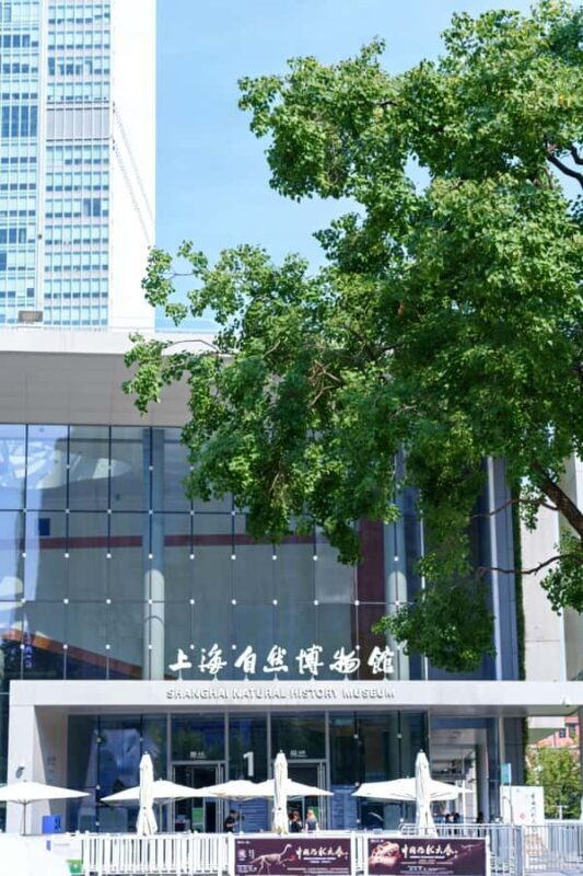 Shanghai Natural History Museum Entry Ticket - An In-Depth Look at the Shanghai Natural History Museum