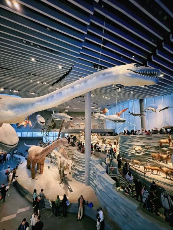 Shanghai Natural History Museum Entry Ticket - Good To Know