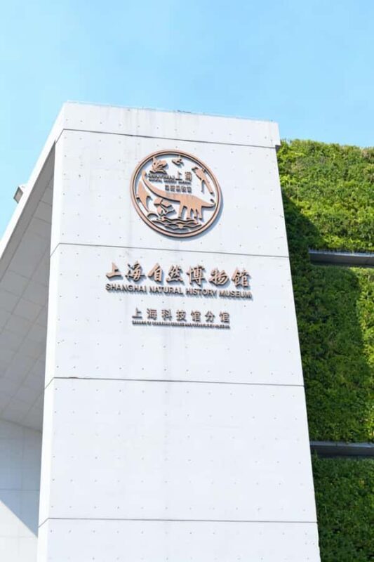 Shanghai Natural History Museum Entry Ticket - Value and Practical Considerations