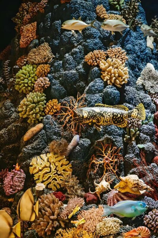 Shanghai: Natural History Museum Tour & River Cruise - Final Thoughts