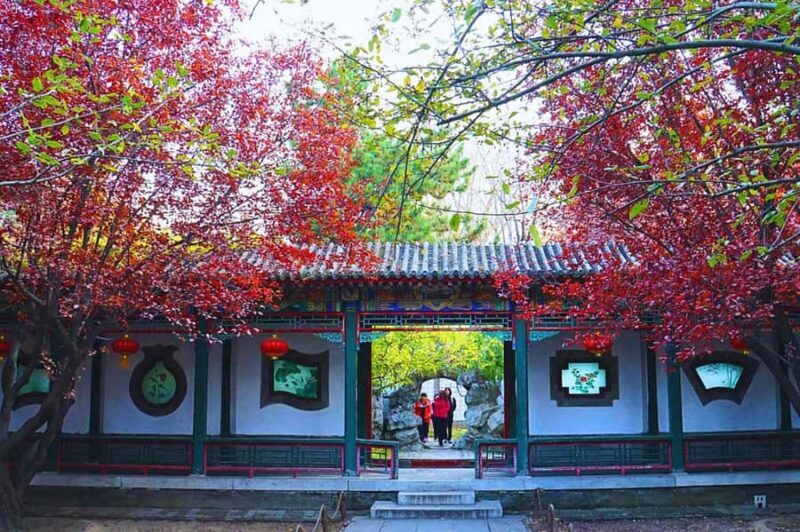 Shanghai: Old Town Half-Day Vintage Bike Tour (Night Option) - What Sets This Tour Apart