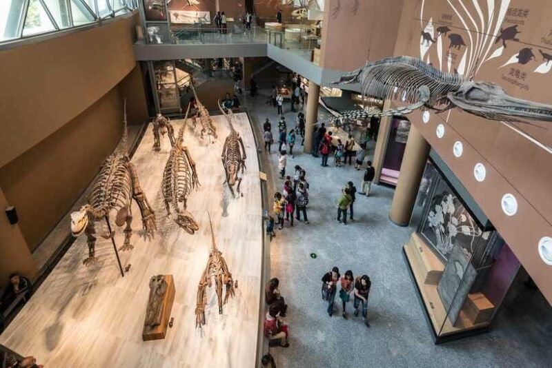 Shanghai: Private Tour of the Shanghai Museum - Who Is This Tour Best For?