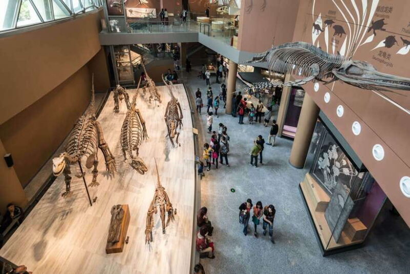 Shanghai: Private Tour of the Shanghai Museum - The Value and Experience