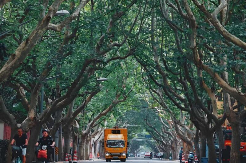 Shanghai: Sihang Warehouse and Wukang Road Tour - Good To Know