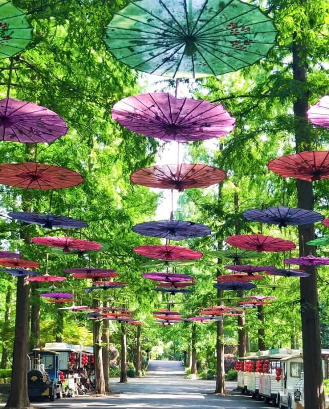 Shanghai to Chongming: Ecology, Culture & Hands-on Tour - Final Thoughts