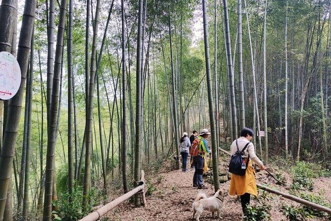 Shanghai to Hangzhou Tofu Ancient Road Hiking Tour by Train - Final Thoughts