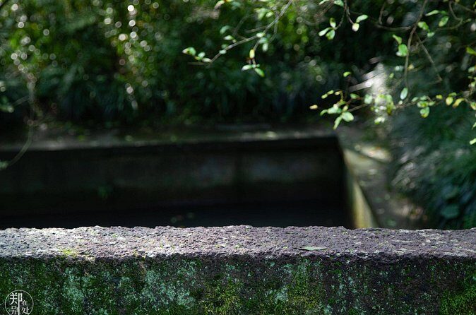 Shanghai to Hangzhou Tofu Ancient Road Hiking Tour by Train - FAQ