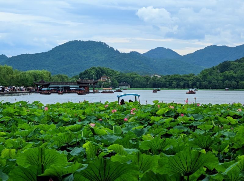 Shanghai to Hangzhou: West Lake & Tea Plantation Day Tour with Lunch - From Shanghai to Hangzhou by high-speed rail
