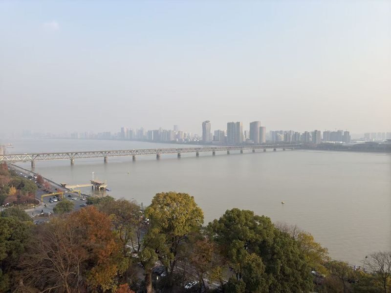 Shanghai to Hangzhou: West Lake & Tea Plantation Day Tour with Lunch - Hefang Street: a lively finish, but not a long one