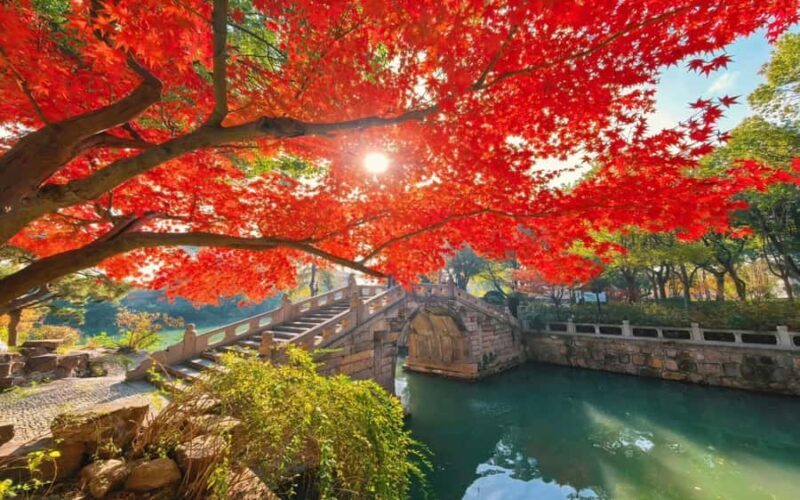 Shanghai to Suzhou One Day Private Tour with Bullet Train - Final Thoughts