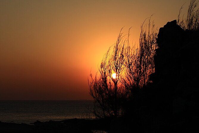 Shanghai to Suzhou Tai Lake and Moli Peak Private Hiking Tour - The Sum Up  