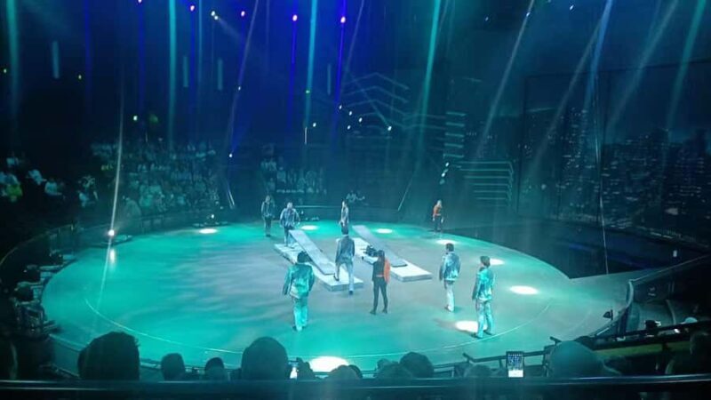 shanghai water village+ERA acrobatic show tour - Returning to Shanghai: The Evening of Acrobatics