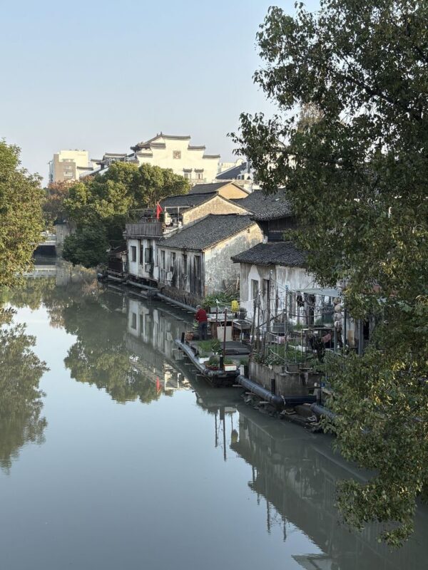 Shanghai Wuzhen Full-Day Private City Highlights Tour - Who is likely to enjoy this tour