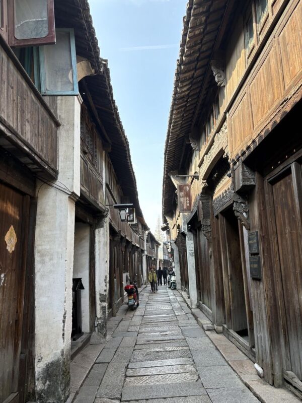 Shanghai Wuzhen Full-Day Private City Highlights Tour - Booking details worth checking