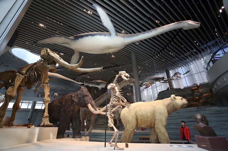 Shanghai: Yu Garden, City God Temple & River Cruise Tour - Good To Know