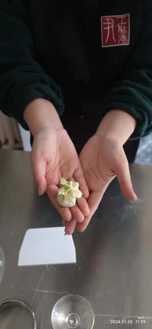 Shanghai:Art Steamed Dumpling Making in Shanghai style Lane - FAQ