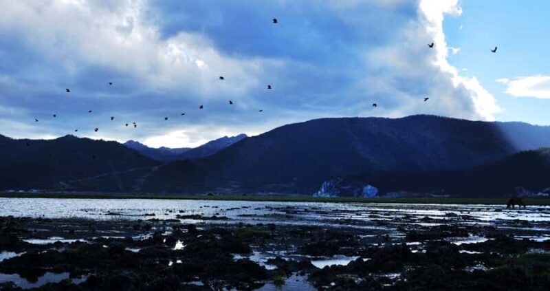 Shangri-La Area Private Day Tour from Lijiang/Shangri-La - FAQs