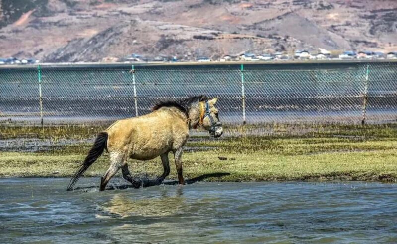 Shangri-La: Balagezong Scenic Area Private Tour - Good To Know