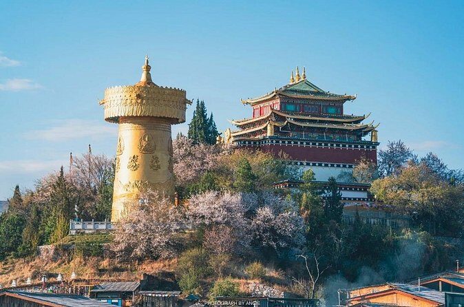 Shangri-La Day Tour Songzanlin Monastery and Napa Sea - The Sum Up: Who Will Love This Tour?