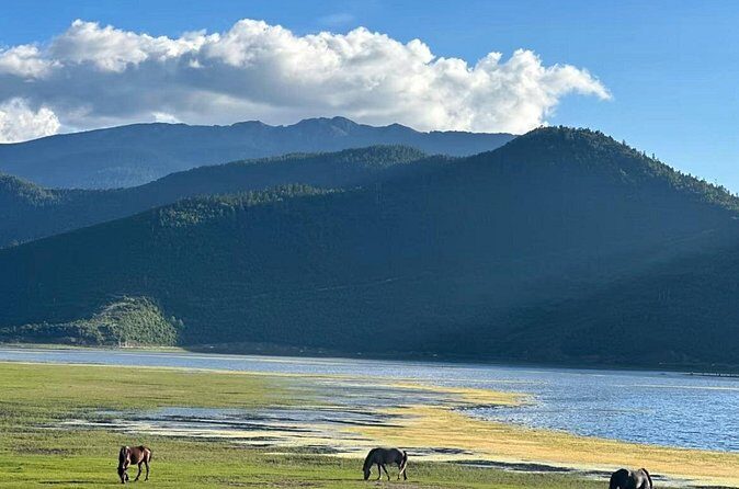 Shangri-La Day Tour Songzanlin Monastery and Napa Sea - FAQ