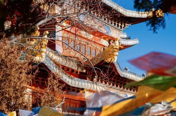 Shangri-La Day Tour Songzanlin Monastery and Napa Sea - Who Should Consider This Tour?