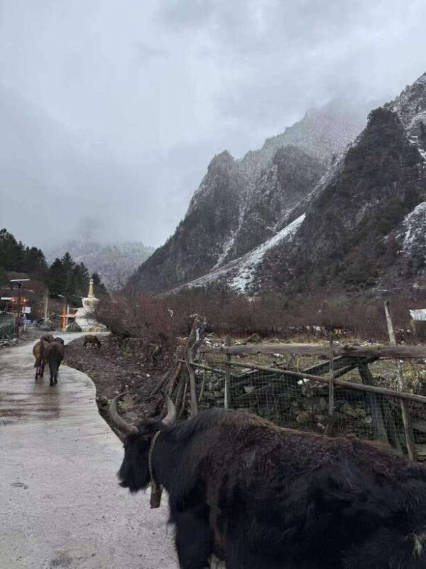 Shangri-La: Meili Snow Mountain and Yubeng Village Trek - FAQ