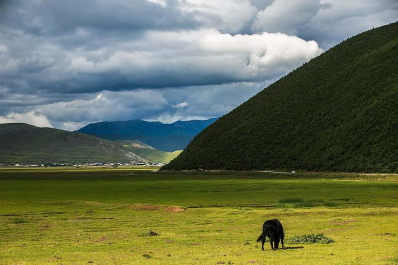 Shangri-La Nanjiluo 3 Days Boutique Small Groups - Final Thoughts