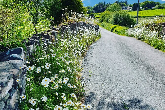 Shannon Airport Transfers to / From Dingle Kerry - Terms and Conditions