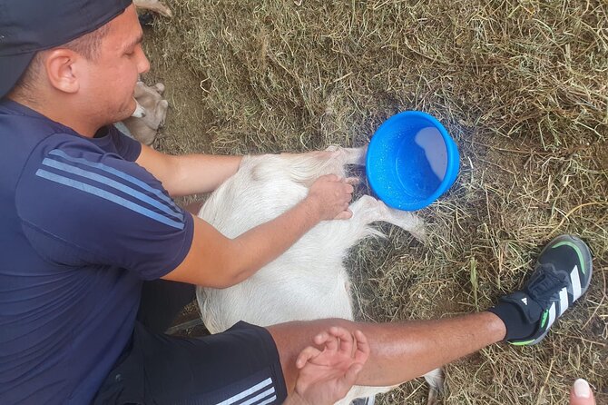 Shapeherd Expirience and Activities in Veggera - Inclusions and Exclusions
