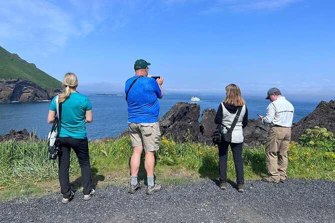 SHARED 2-Hours Drive With a Westman Islands Local in a BMW X5 - Uncovering Hidden Gems and Local Secrets