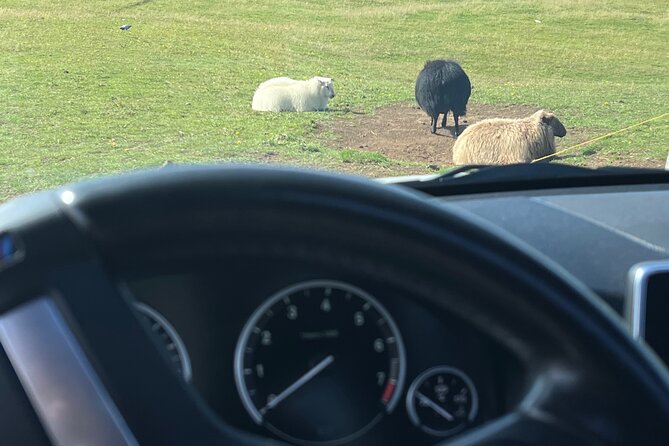 SHARED 2-Hours Drive With a Westman Islands Local in a BMW X5 - Common Questions