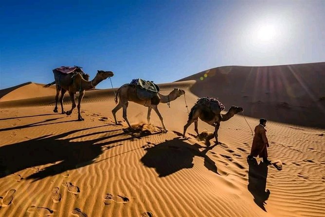 Shared 3 Day Desert Safari Experience Tour From Marrakech to Merzouga - Good To Know