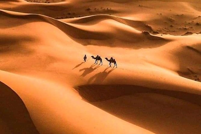 Shared 3 Day Desert Safari Experience Tour From Marrakech to Merzouga - Inclusions and Exclusions