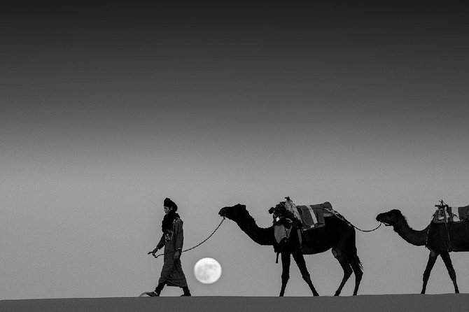 Shared 3 Days Tour From Marrakesh to Fes via Merzouga Desert - Good To Know