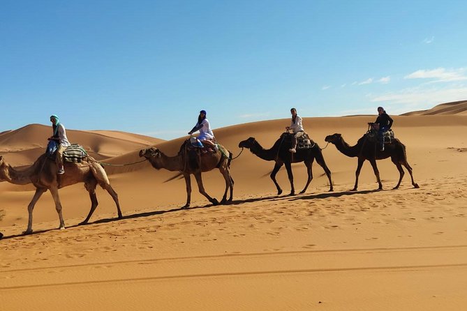 Shared 3 Days Trip From Fez to Fez via Merzouga Desert - Included Meals and Activities