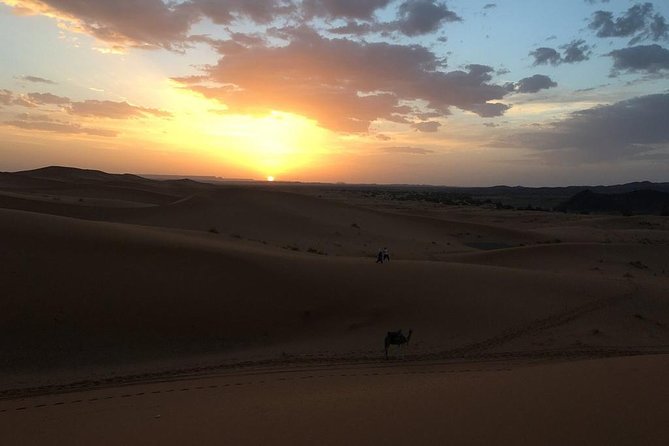 Shared 3 Days Trip From Fez to Fez via Merzouga Desert - Pricing and Offers
