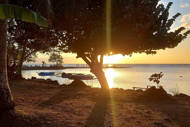 Shared 4.5h Circle Island Tour of Tahiti Nui by Lydia - Practical Details