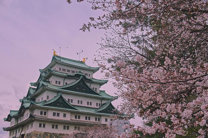Shared Arrival Transfer : Chubu Nagoya Airport to Nagoya City - Overview and Benefits of the Transfer Service