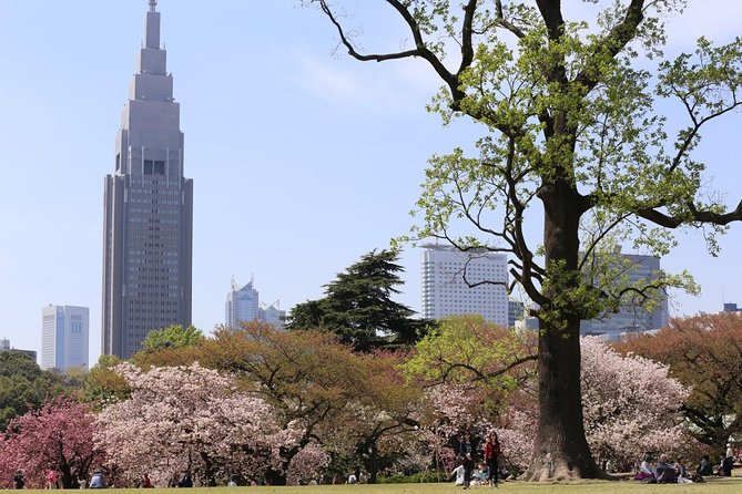 Shared Arrival Transfer : Narita International Airport to Hotel (Central Tokyo) - The Sum Up