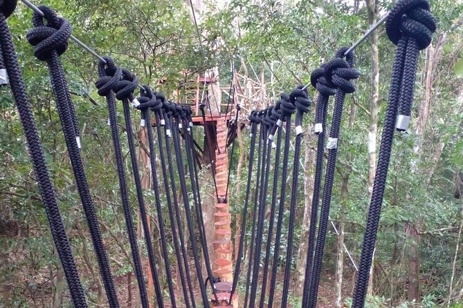 Shared ATVs and Zip Lines and Swimming in a Real Cenote. - Common Questions