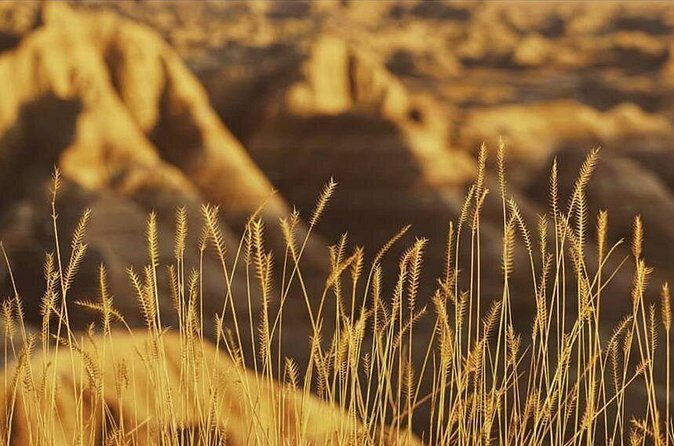 Shared Badlands and Wall Drug Store Experience - An In-Depth Look at the Tour Experience