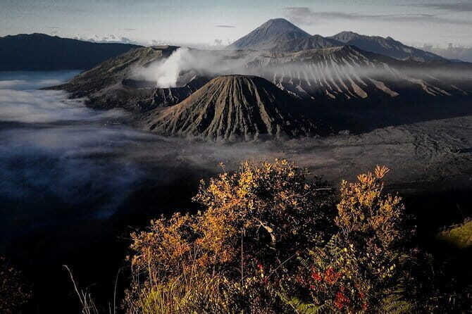 Shared Bromo Tour Start From Malang - 1D - Discover the Highlights of the Shared Bromo Tour from Malang