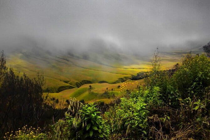 Shared Bromo Tour Start From Malang - 1D - What to Expect from the Itinerary