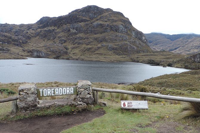 Shared Cajas National Park Full Day Tour - Tour Overview