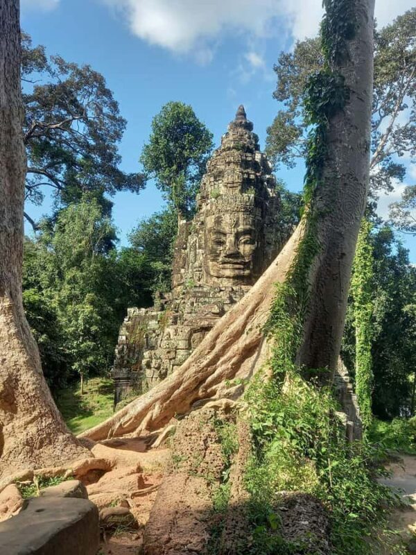 Shared day tour with Spanish-speaking guide at Angkor Temple. - The Experience: What Makes It Special